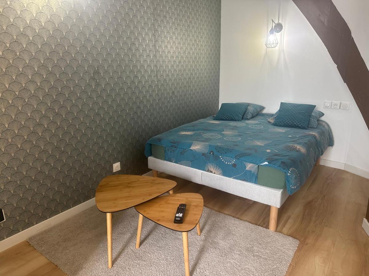 Magnifique Studio - Hypercentre Ancien Pieton Orleans - Wifi - Acces Autonome 외부 사진